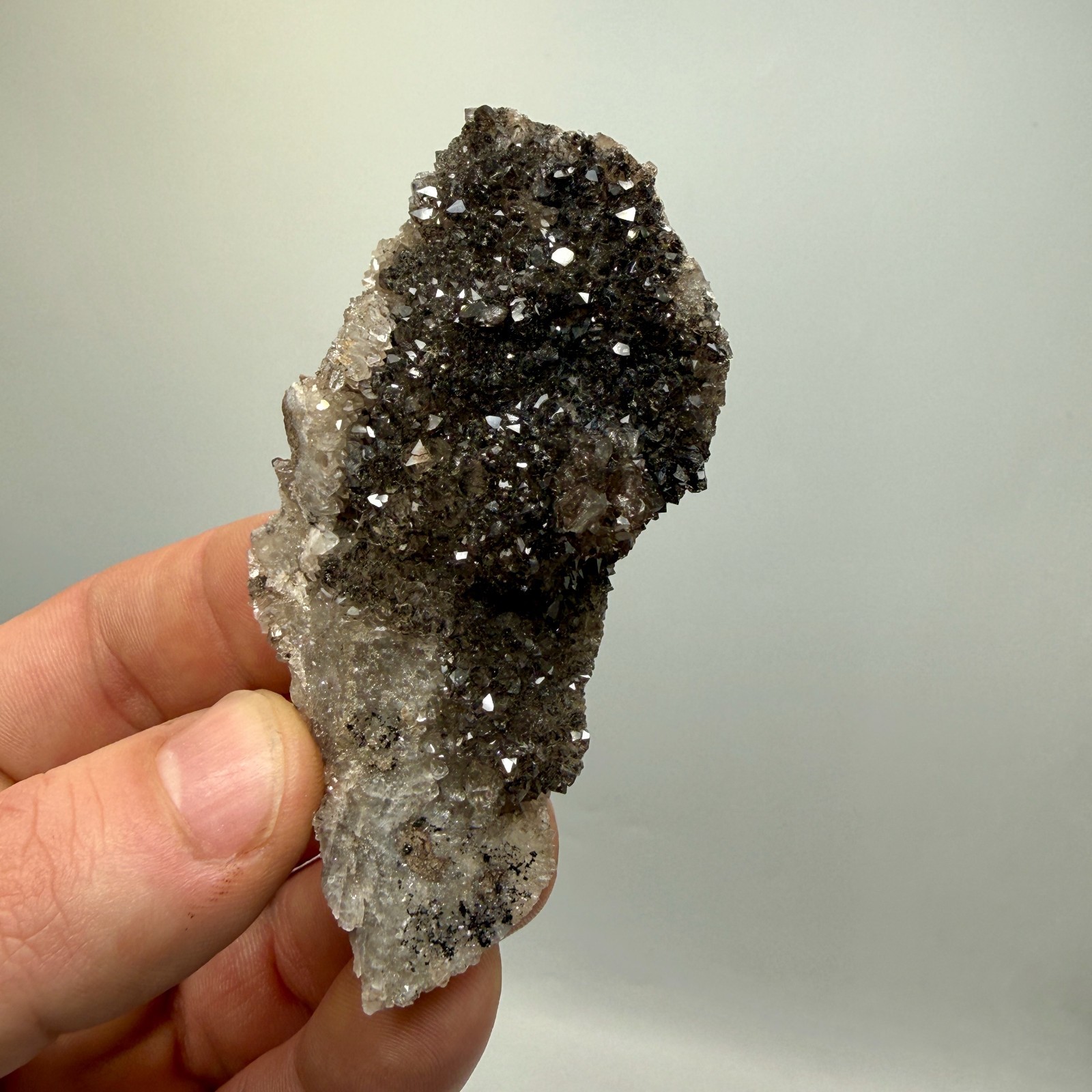 Black Druze with Hydrocarbon Phantom Percher Herkimer Diamonds, Rare Matrix!