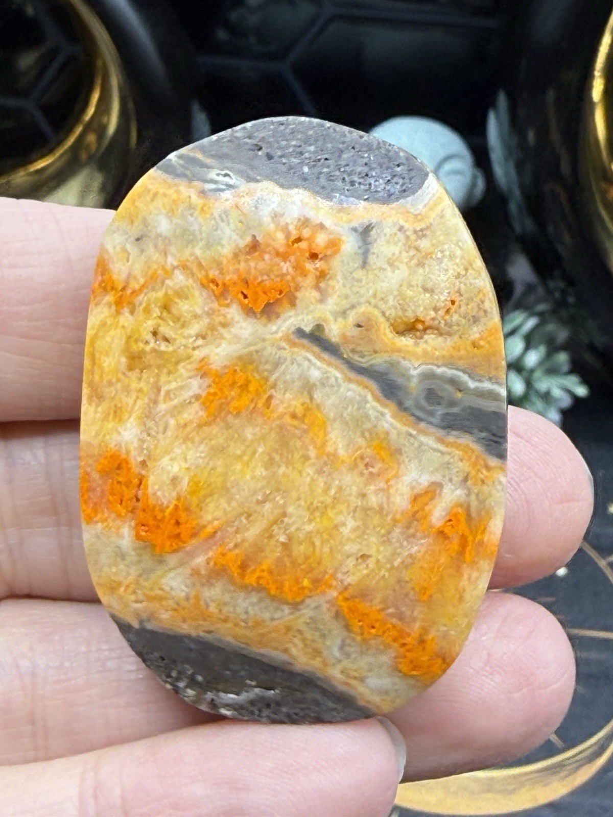 Natural Bumblebee Jasper Palms Druze vugs raw Free shipping