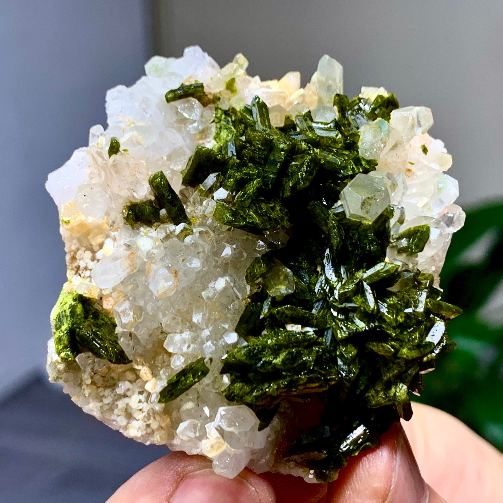 46g Natural Garden quartz cluster specimen tourmaline mineral healing SiChuan