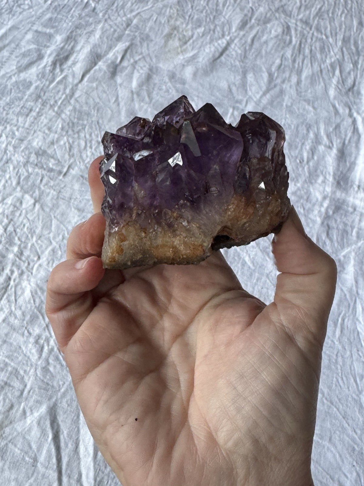 Brazilian Amethyst Geode Brazil Mineral Curiosity Extra Quality