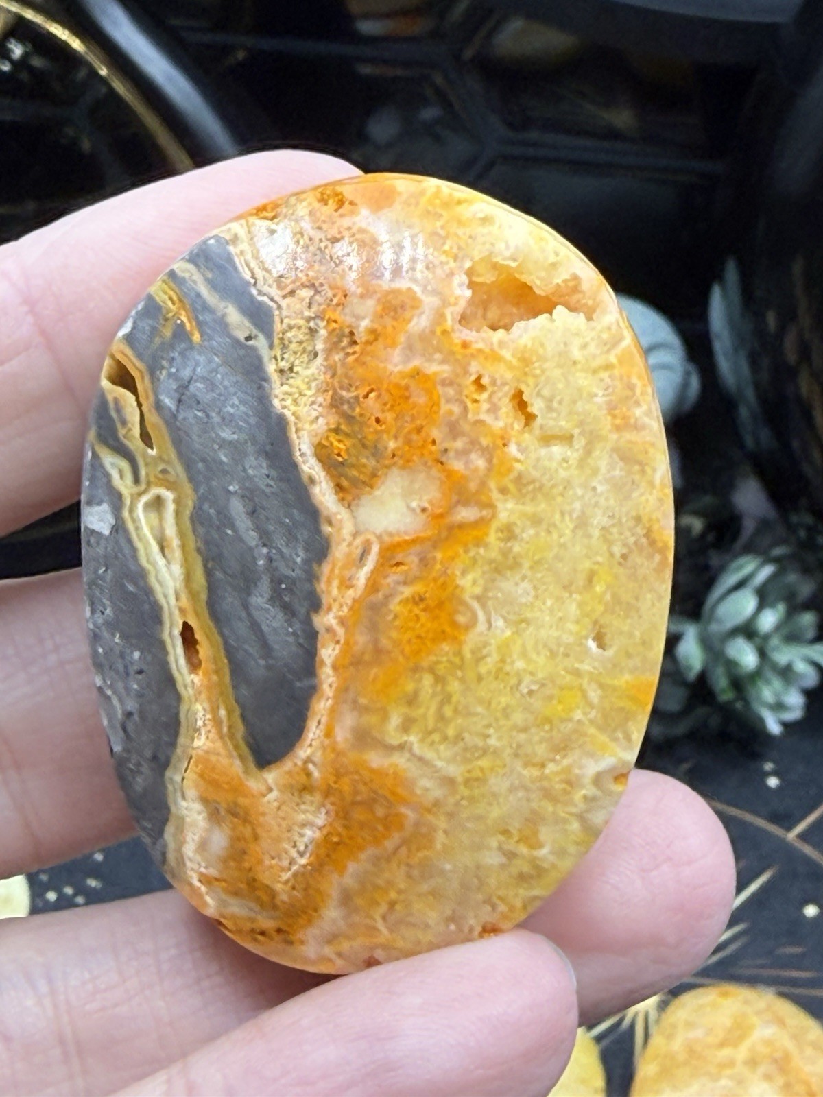 Natural Bumblebee Jasper Palms Druze vugs raw Free shipping