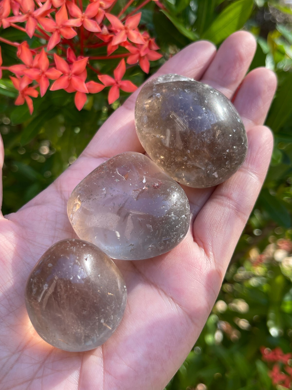 Smoky Quartz Pebble, 1-2 Inches Large Tumbled Smoky Quartz, Wholesale Bulk Lot