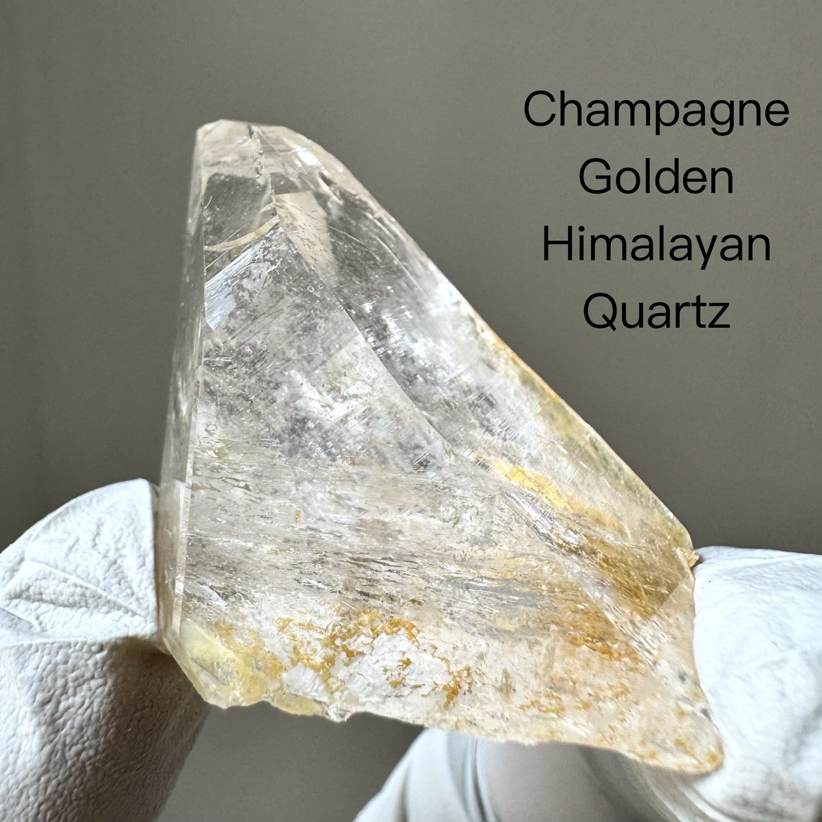 “Golden Triangle”Ganesh Himalayan Nepal Quartz Nirvana Record Keeper Crystal