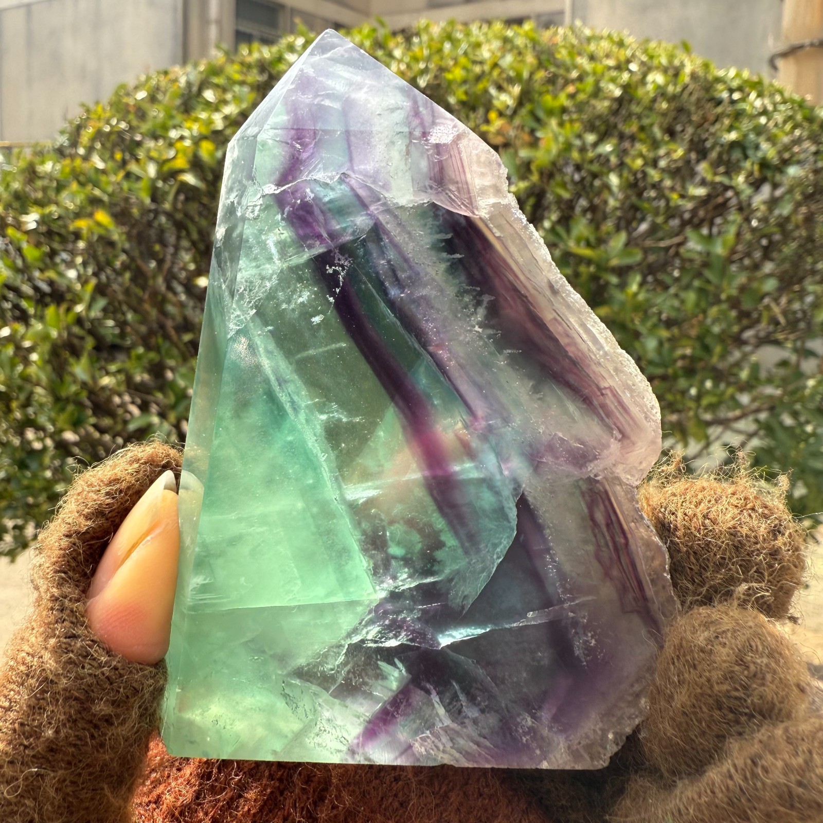 290g Natural Watermelon Fluorite Slice Mineral Crystal Healing