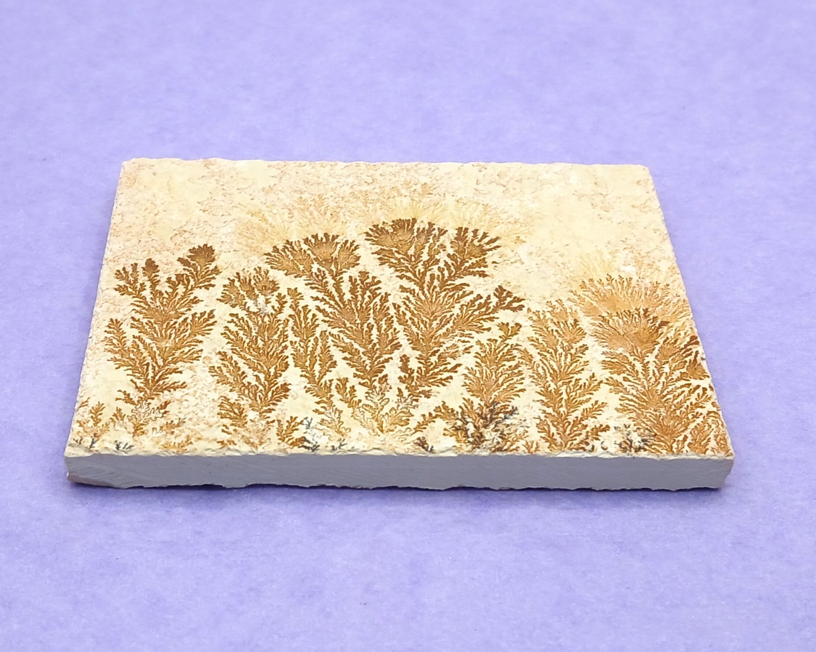 Manganese Oxide Dendrites Plaque 80mm Bavaria Germany in Presentation Box