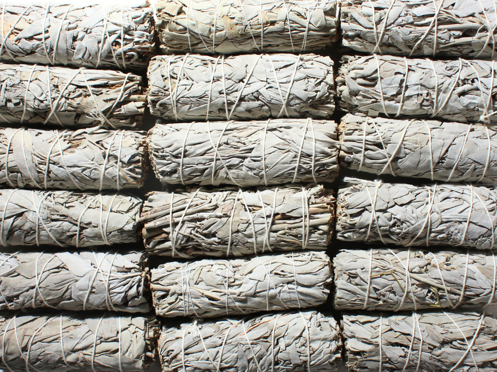 White Sage Smudge Sticks – 4″ – 4.5″ – Incense Bulk Wholesale 1LB option