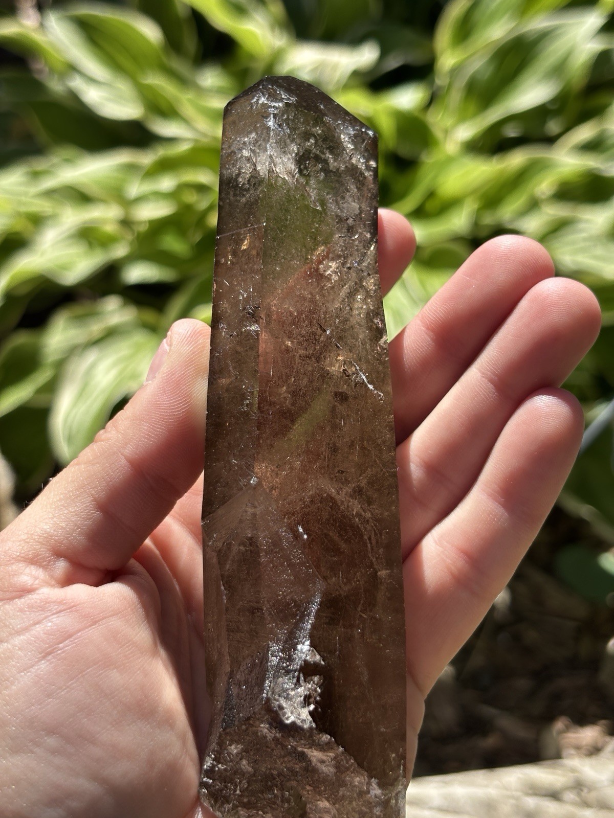 Switzerland Smoky Quartz Natural Point .
