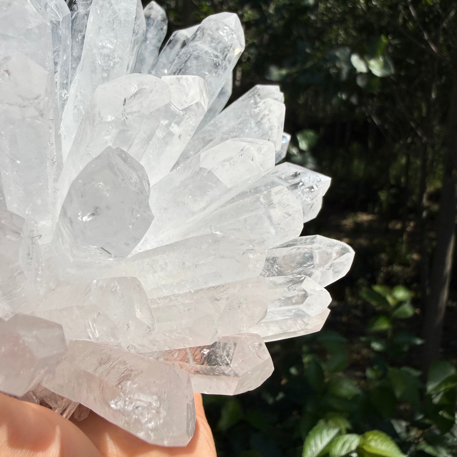 2.2LB Large Natural White Clear Quartz Cluster Crystal Mineral Healing 1pc
