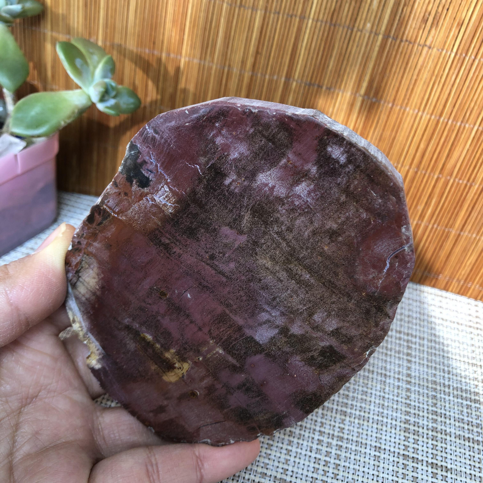 109mm natural Beautiful Petrified Wood Crystal Slice mineral specimen 239g A4859