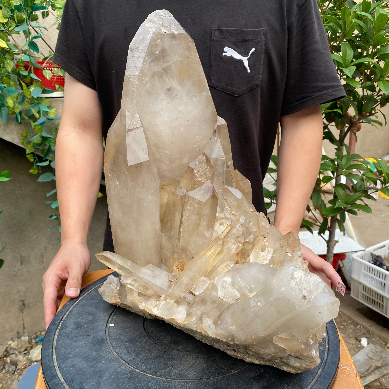 23900G A+Large Natural clear white Crystal Himalayan quartz cluster /mineralsls