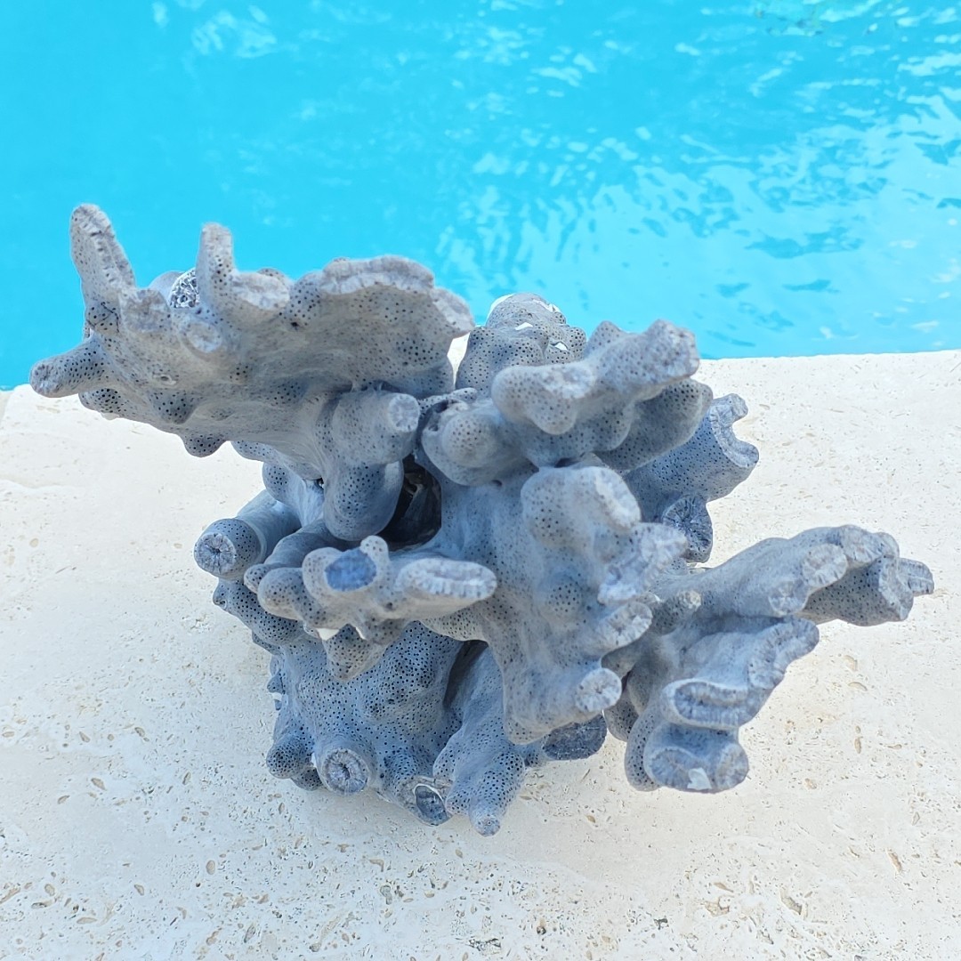 10 lb Nat Blue Coral Reef Cluster Marine Mineral Crystal Specimen Aquarium 14″