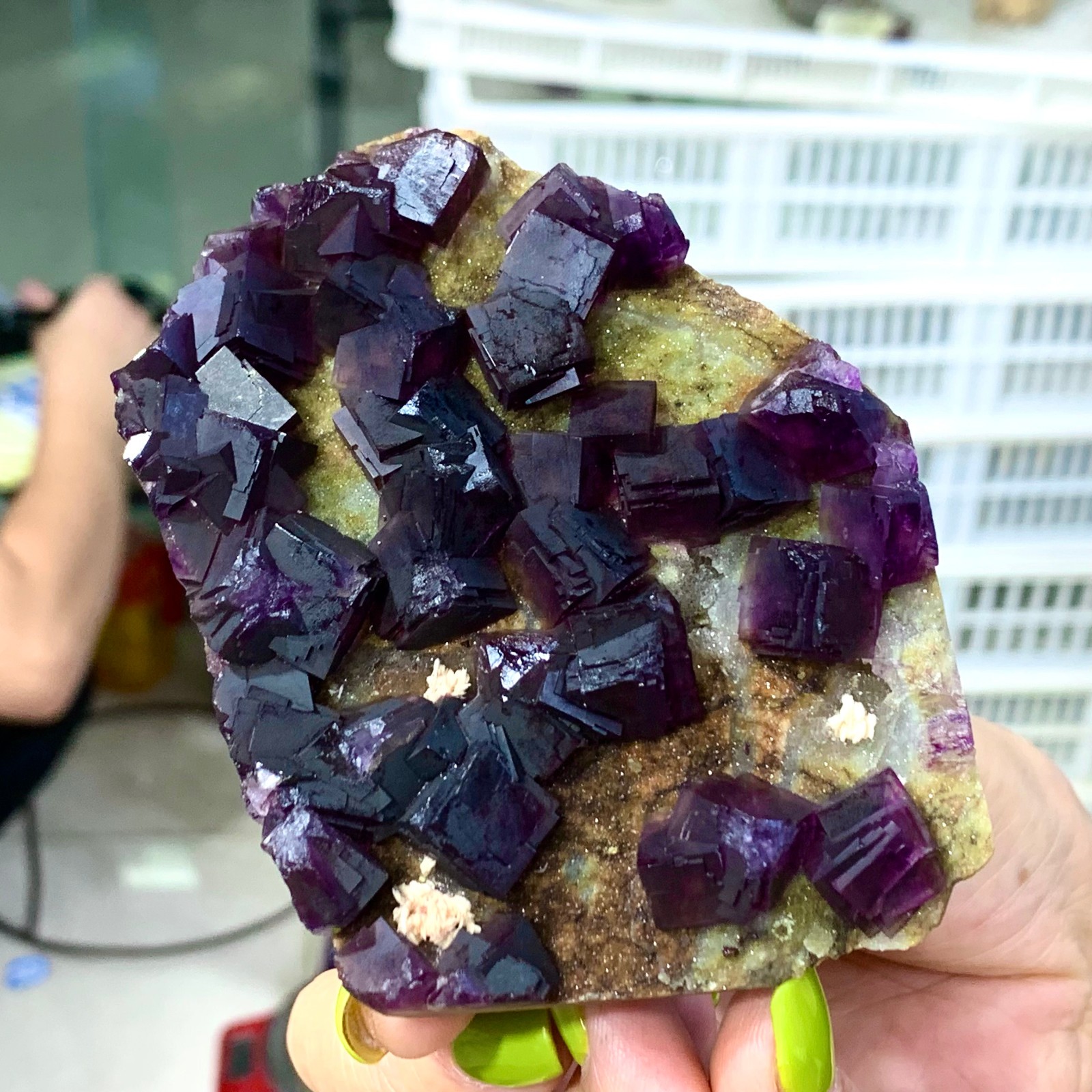 331G Rare Purple cubic fluorite mineral crystal sample/Zhejiang