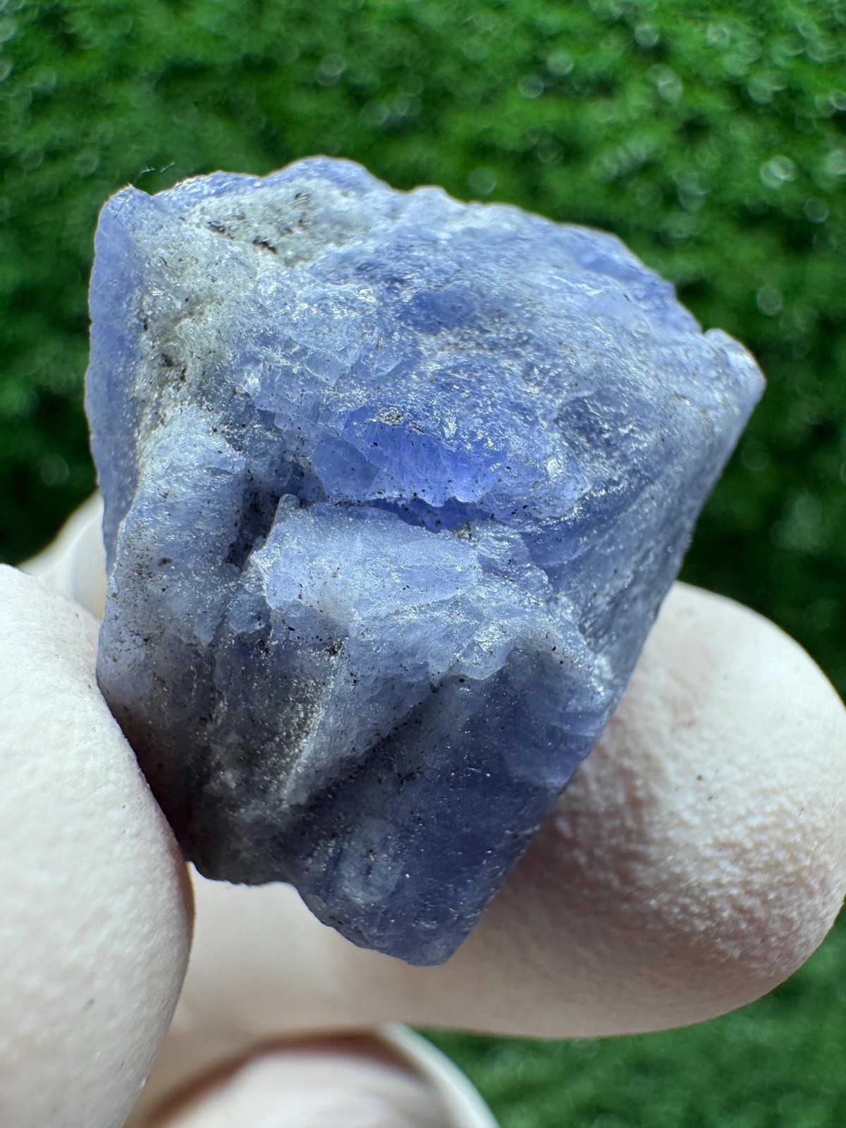 Crazy TANZANITE Crystal with COLOR CHANGE under yellow/white light / F214