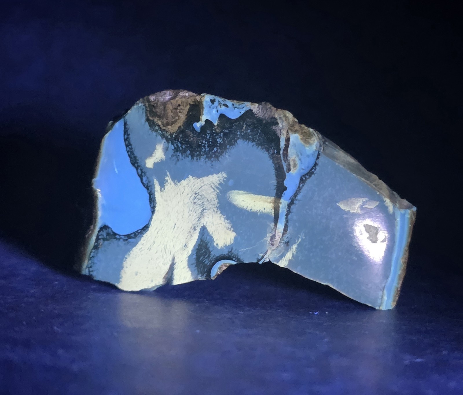 Polished Blue Amber | UV Reactive Amber Indonesia B116