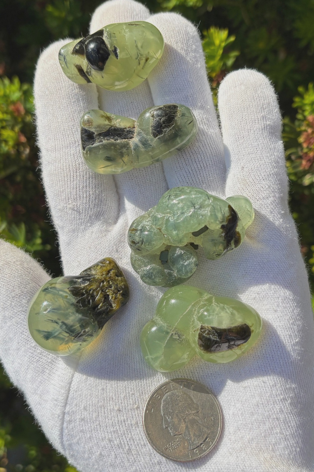 USA SALE 120g LOT 5 PREHNITE & EPIDOTE BOTRYOIDAL TUMBLES TUMBLE STONE STONES
