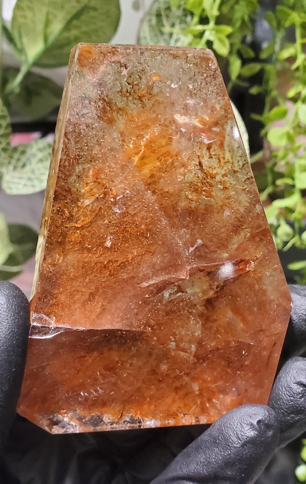 Scenic Golden Healer Quartz Freeform 132g – High Quality Polished w/ Raw Side