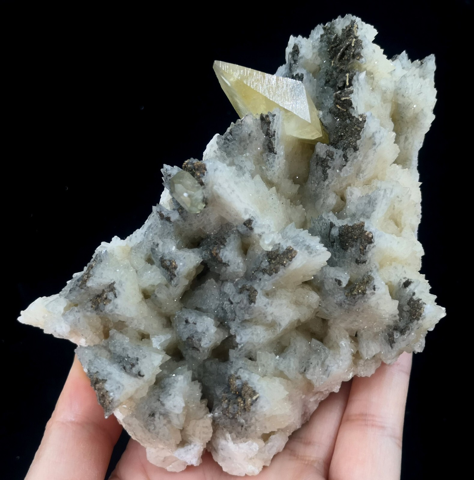 125mm 526g Dog-teeth Calcite & Chalcopyrite on ‘White Dragon Scale’ Calcite
