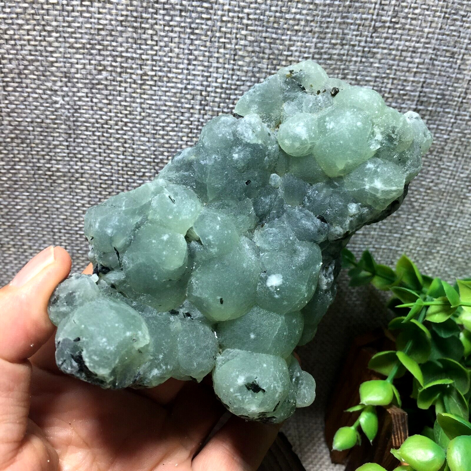 281g Natural green chalcedony grape agate crystal specimen Indonesia A24