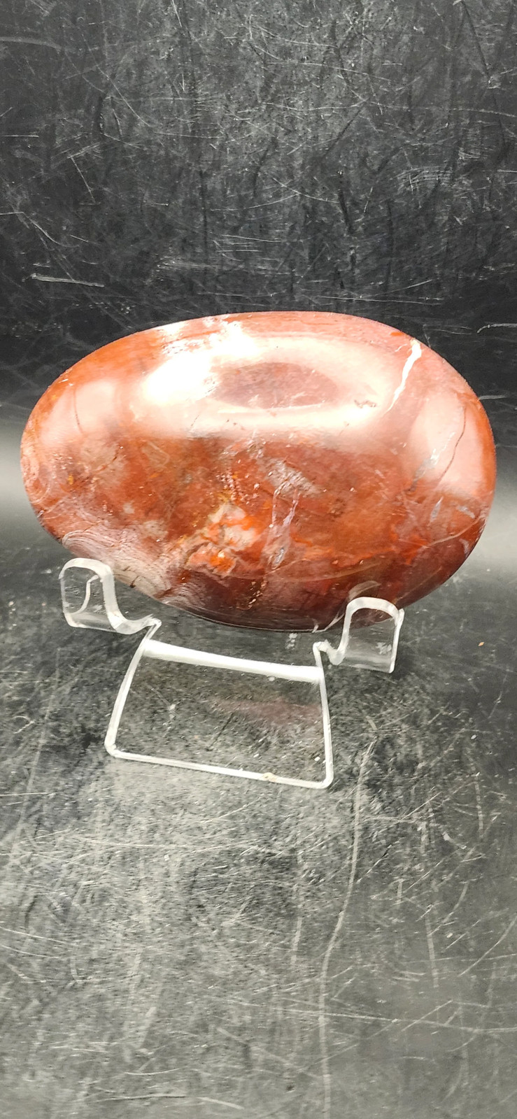 Large Petrified wood palm stone! 10 ounces, 3.3 inches long, 2.2 wide