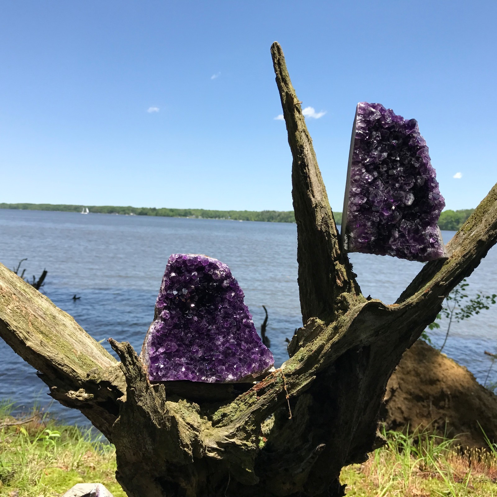 Amethyst Druze Crystal Cluster With Cut Base ~ EXTRA LARGE Size Specimen ~ 2 Lbs