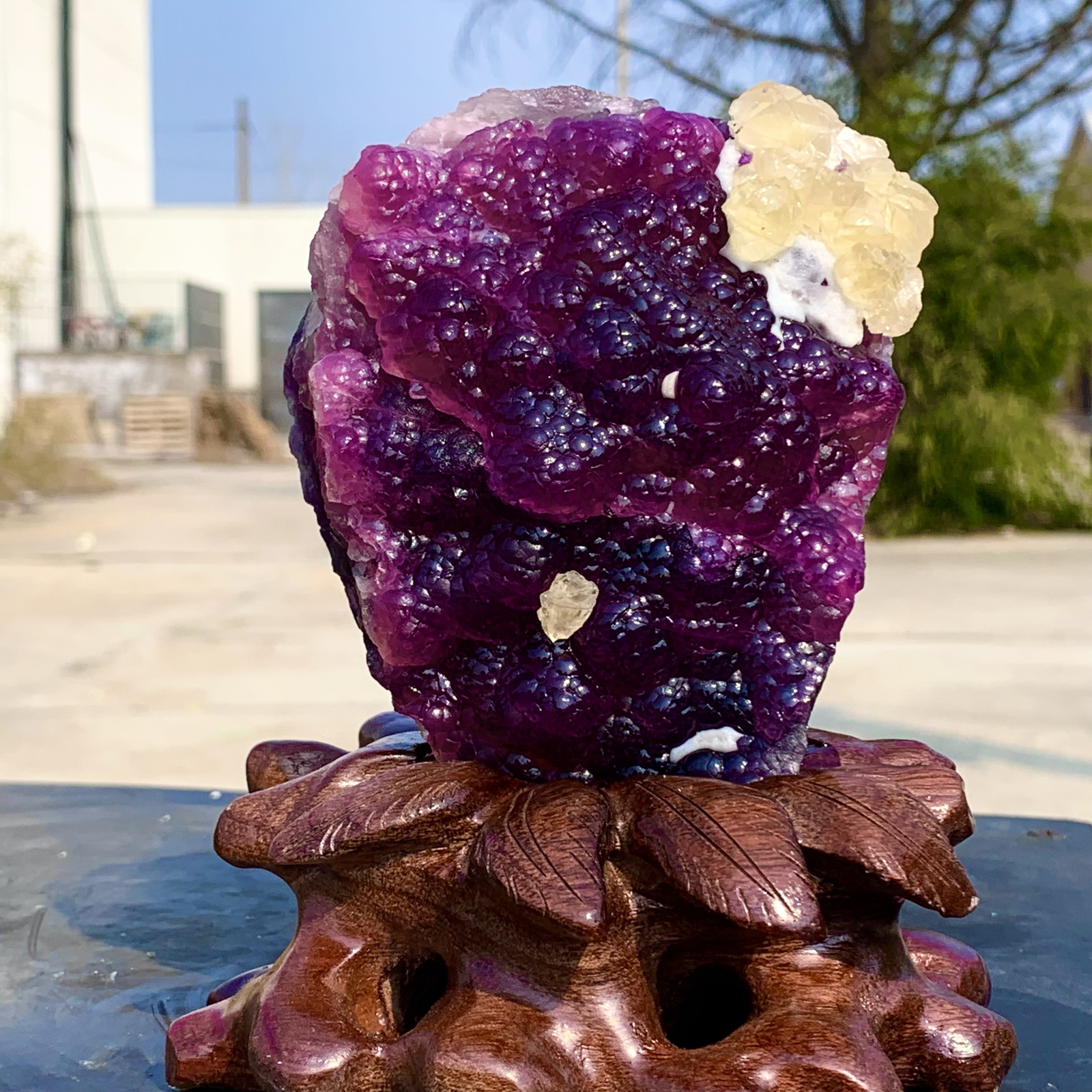 2.40LB Complete rare and gorgeous purple fluorite from Inner Mongolia, China