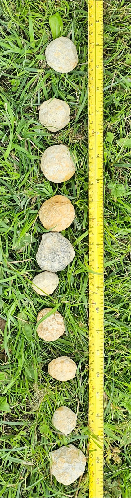 Quartz Geodes – Break Your Own Geode – Unbroken Quartz Crystal