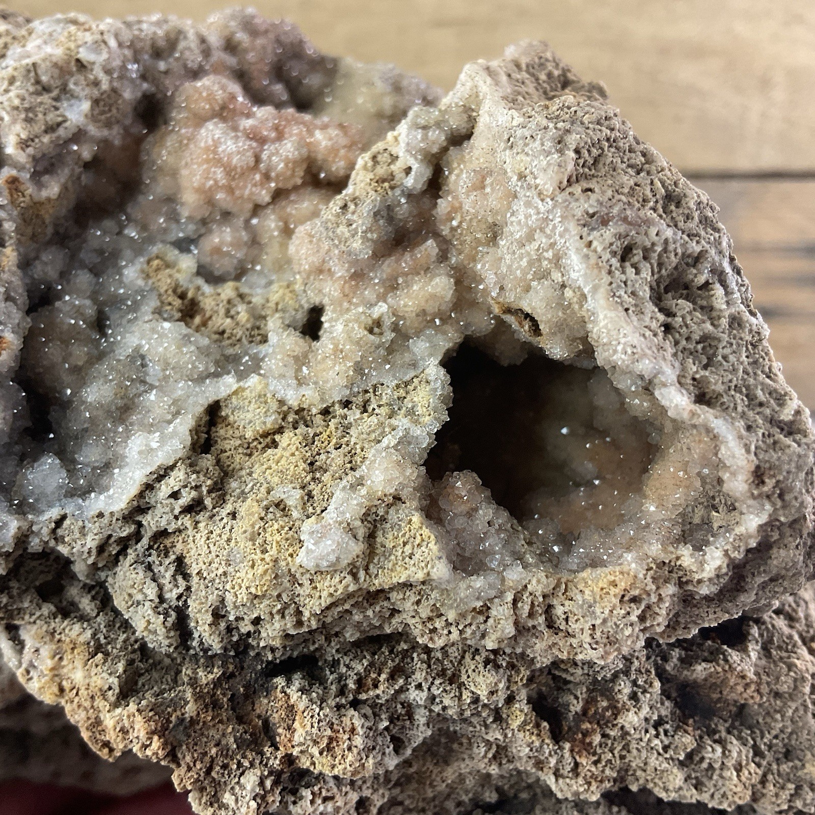 Missouri Druzy Quartz Crystals Natural Fossilized Coral Stone Natural Organic