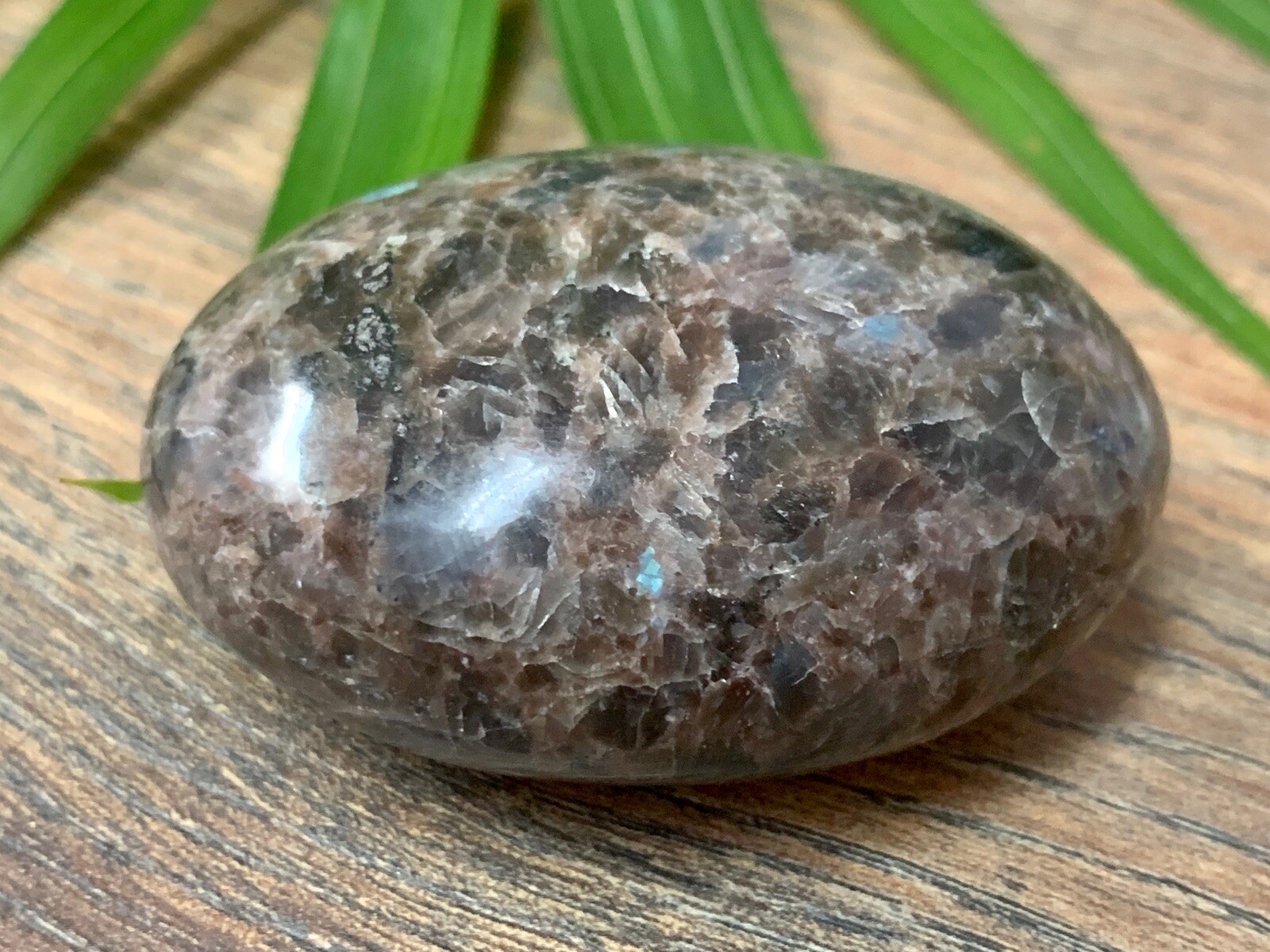 Galaxy Palm Stone Large Soap Stone Flat Therapy Meditation Specimen Reiki Cha
