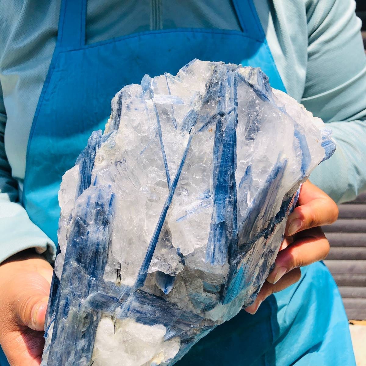 9.46LB Natural Blue Kyanite Cluster with Clear Quartz Matrix Crystal Specimen