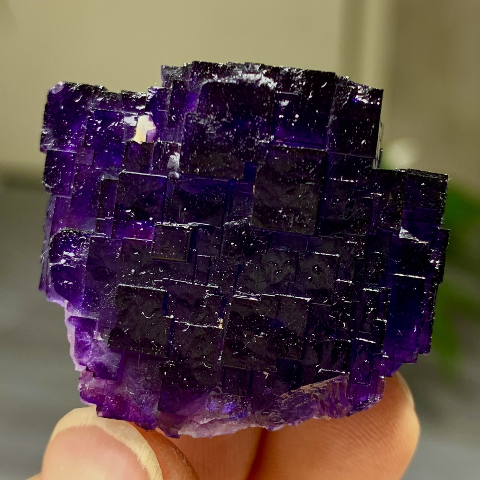 40G Natural purple framed cubic fluorite mineral specimen/Inner Mongolia