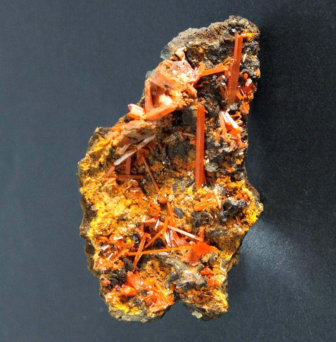 Crocoite Crystals. Adelaide Mine Dundas. Tasmania Australia (EA12007)