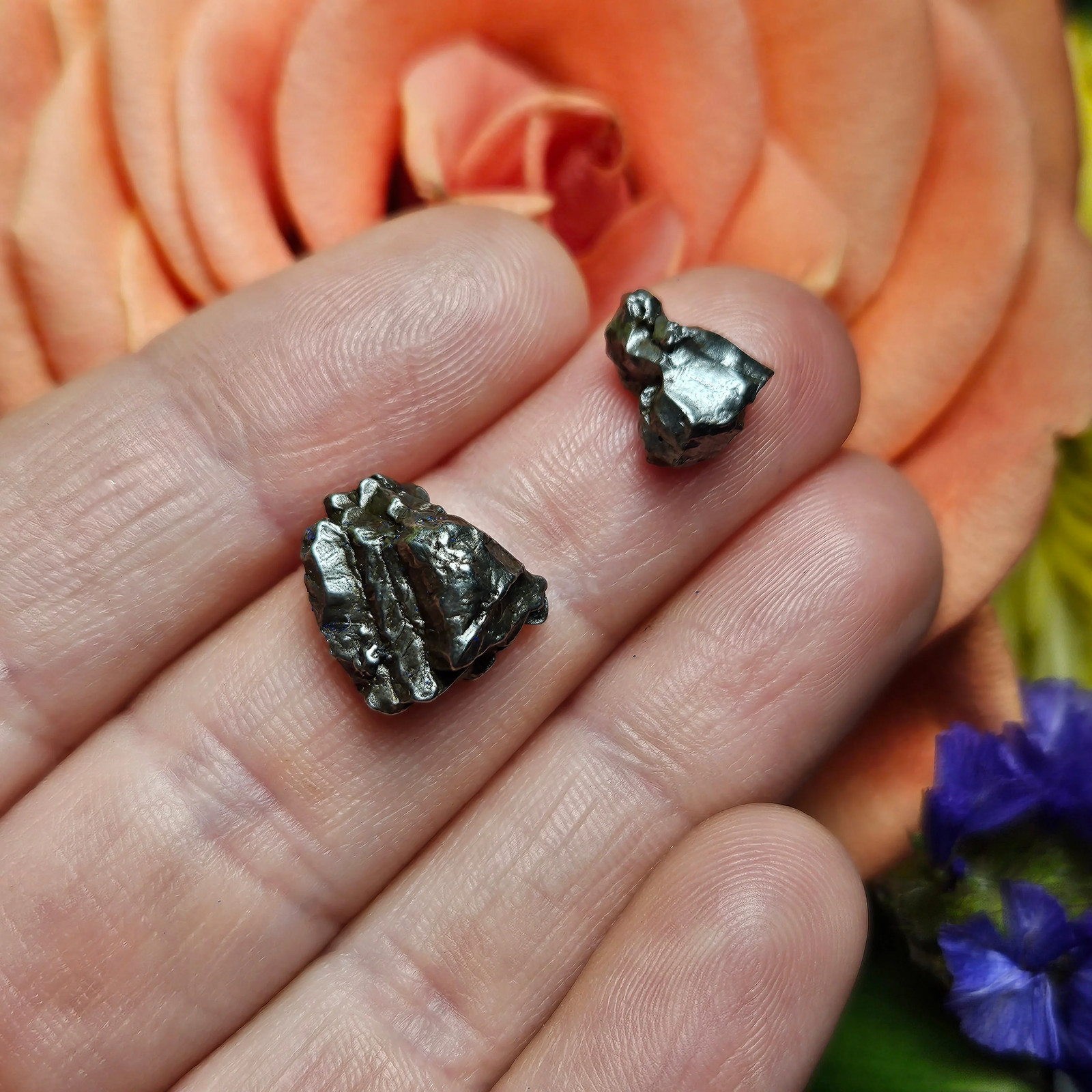 Meteorite Specimen