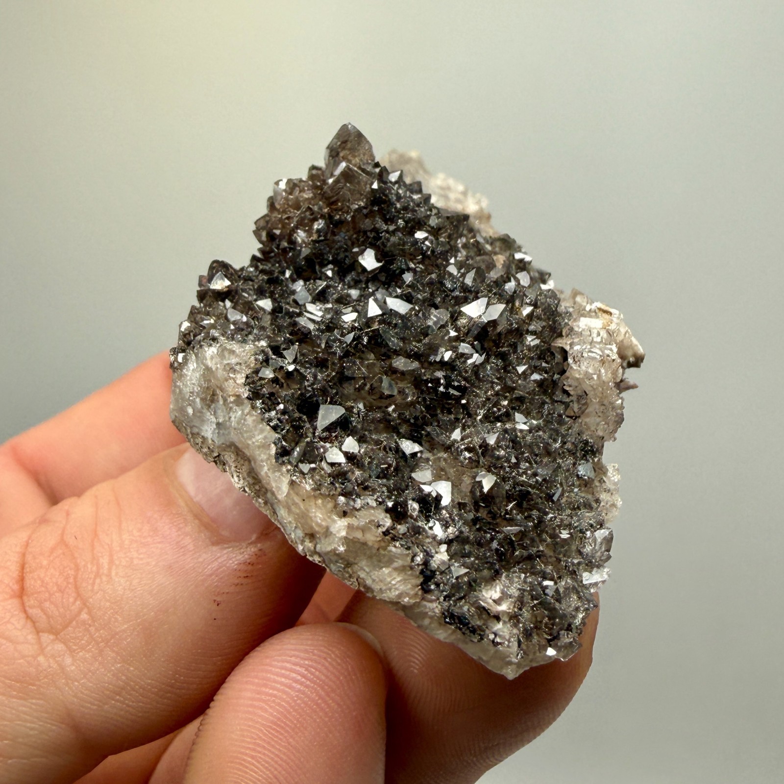 Black Druze with Hydrocarbon Phantom Percher Herkimer Diamonds, Rare Matrix!