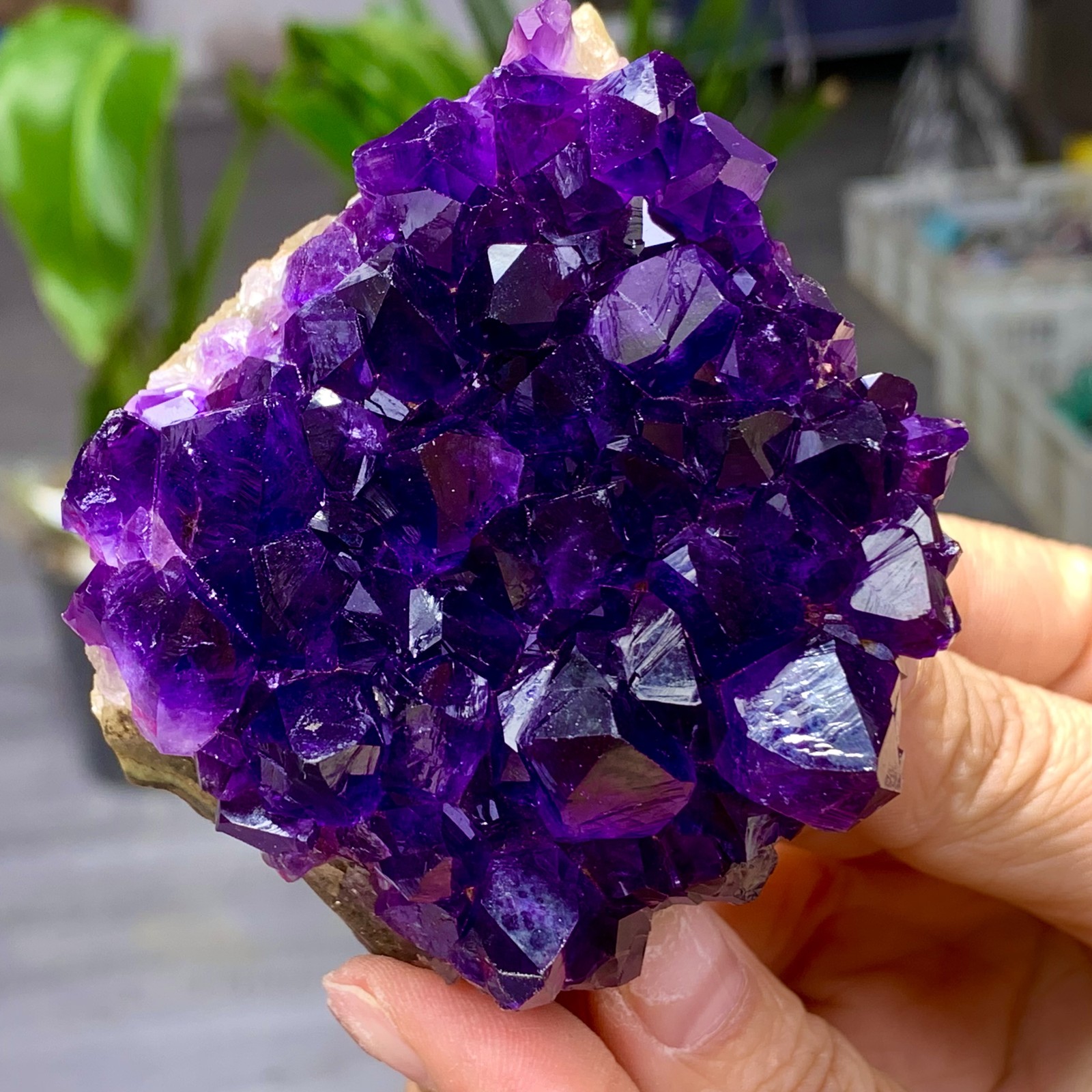 239G Natural Amethyst geode quartz clustercrystal specimen Healing