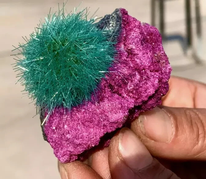 Red Rare Dandelion Zeolite Quartz Crystal Healing Cluster Mineral Specimen Decor