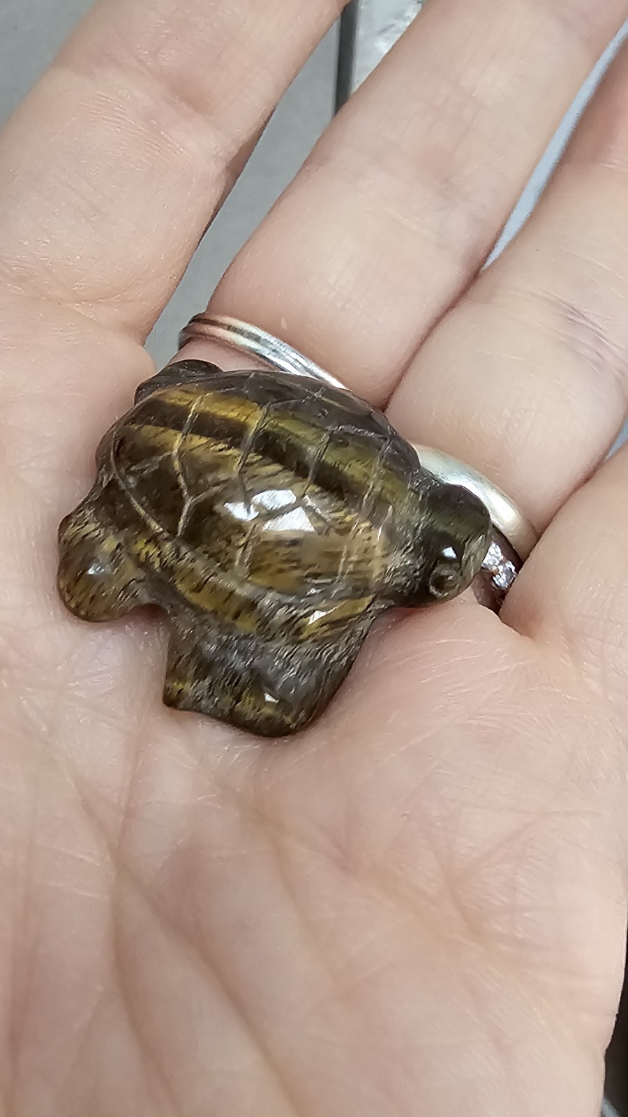 Mini tigers eye crystal Turtle Tortoise Carving 11g 2.8cm