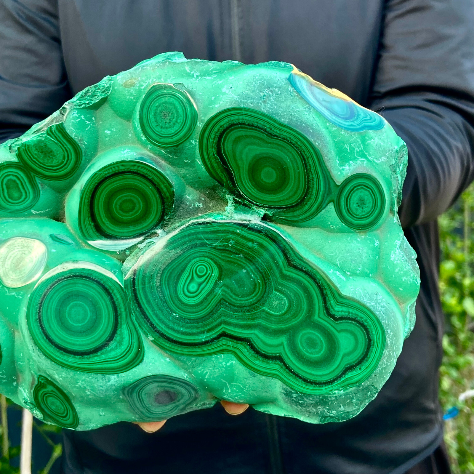 5LB Natural tortoise Malachite transparent cluster coarse mineral sample