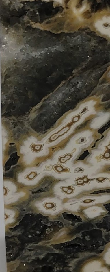 Rare 8 Vein Ocean Jasper Tower 3” 64g Brown White Druzy Orbs Crystal Point (OJ10