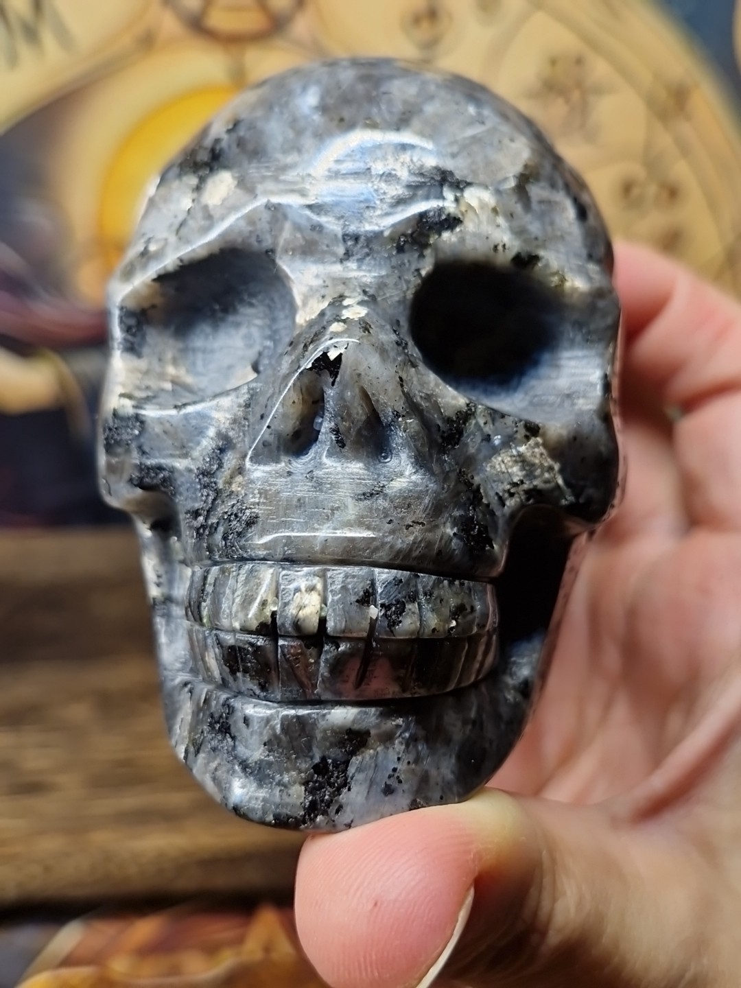 Lush Larvikite Aka Black Lab Crystal Human Skull 95x72mm 618g