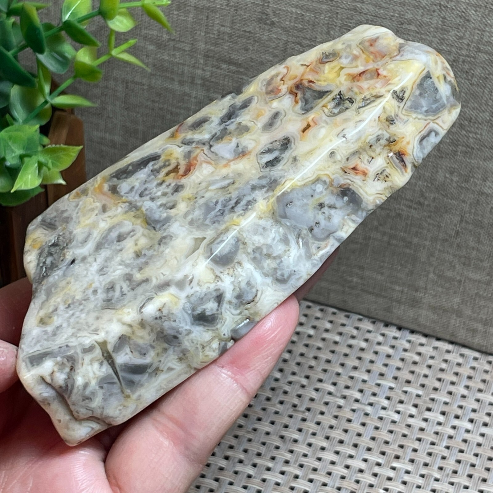 Mexican Crazy Lace Slab, Rough, Agate, Cabbing Lapidary Specimen stone 205g A100