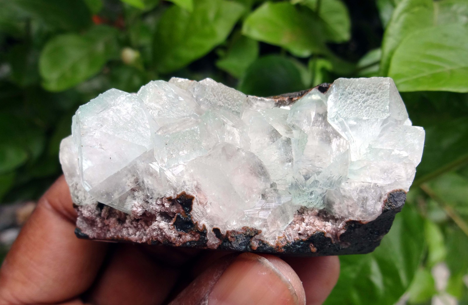 apophyllite crystals & matrix minerals specimen j-7