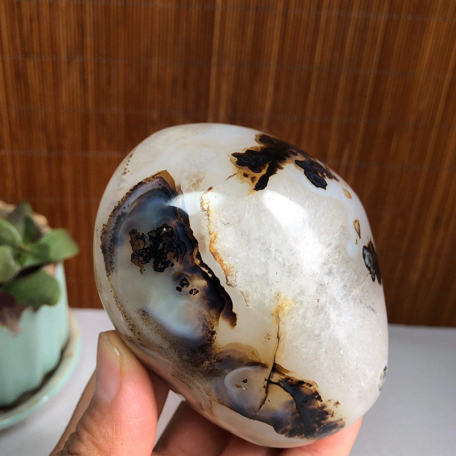 83mm Natural aquatic plants agate pretty Crystal specimens 427g A1482