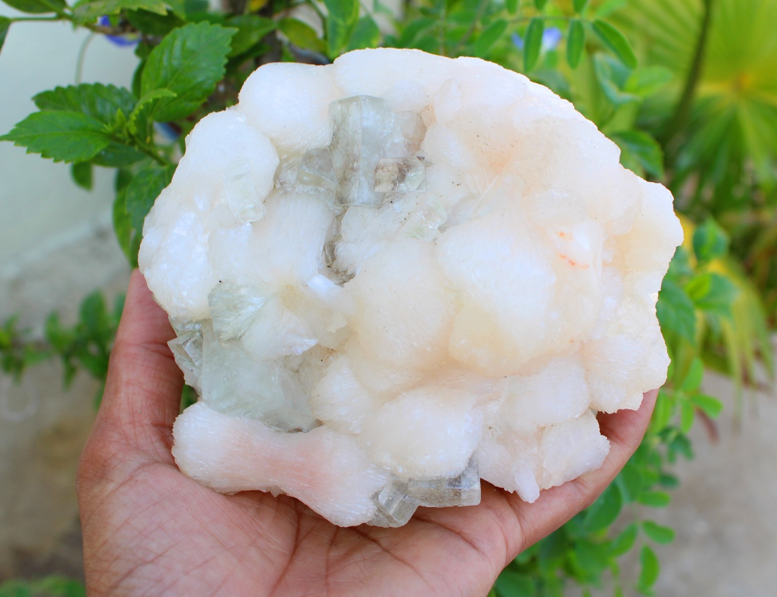 GREEN APOPHYLLITE CRYSTALS w/ STILBITE IN GEODE MINERALS SPECIMEN #A43