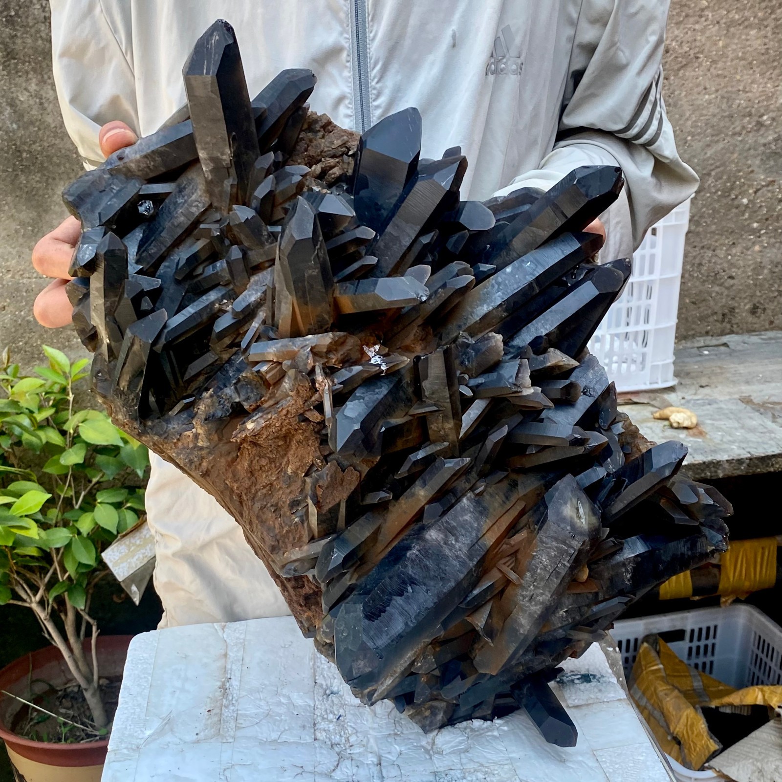 57LB Tea black Crystal quartz Cluster Mineral Specimen Healing reiki