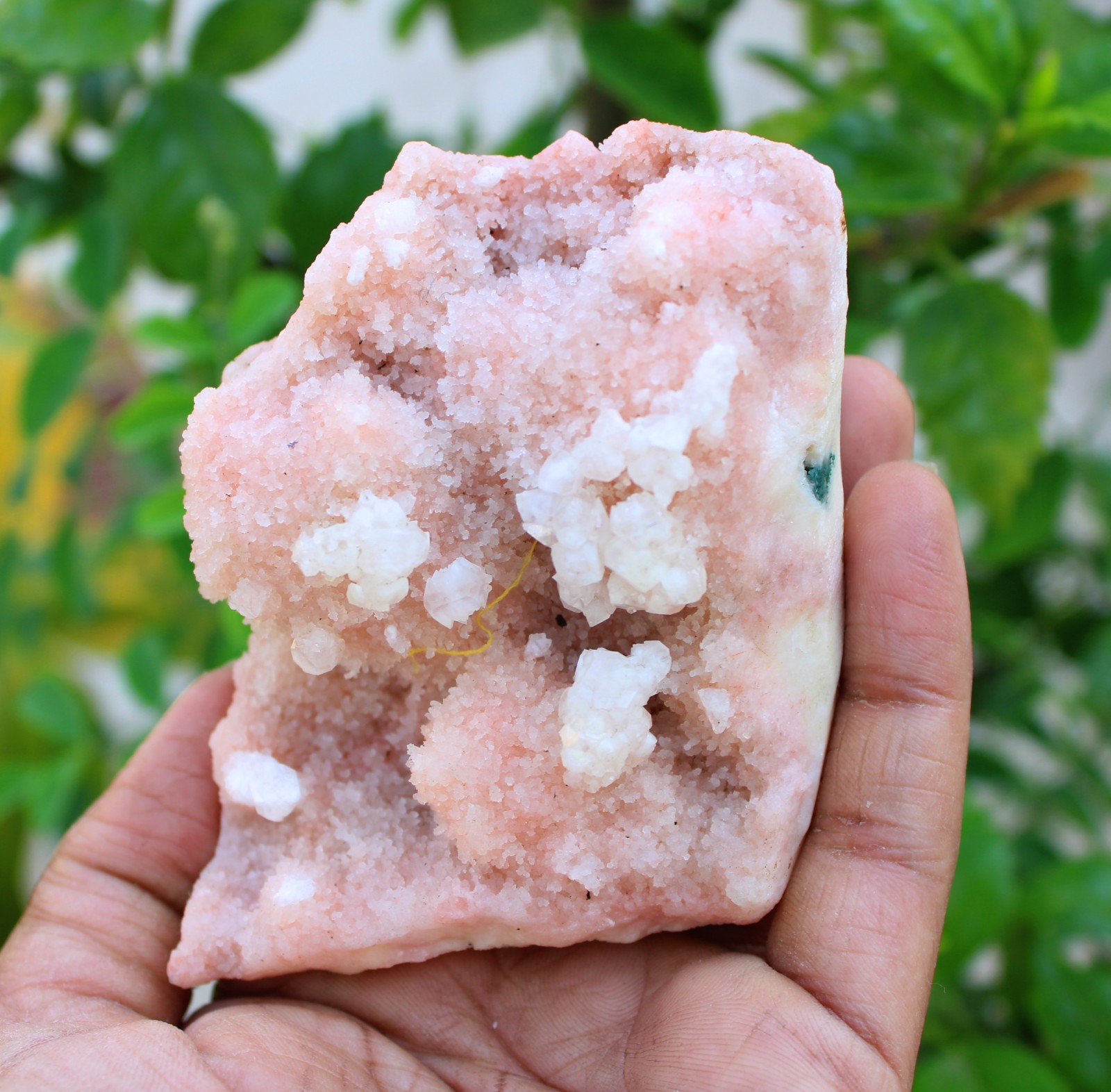 chalcedony coral on matrix minerals specimen #A43