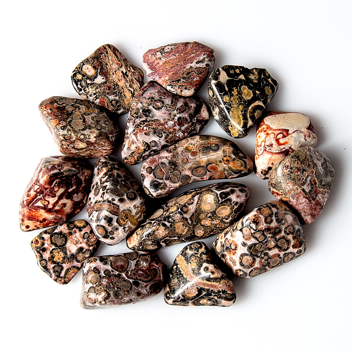50g Tumbled Leopard Skin Jasper Gemstone Crystals 10-25 Stones Gem Rock Specimen