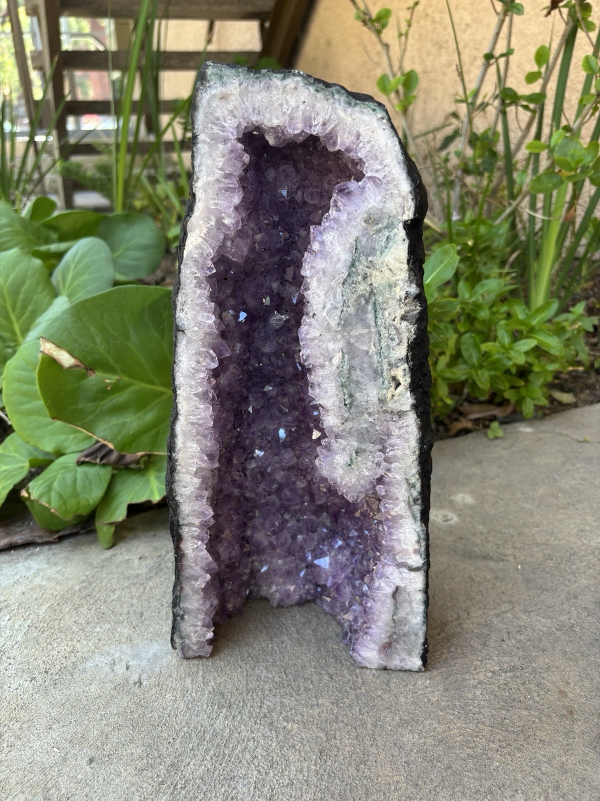 Large Natural Amethyst Crystal Geode Cluster Uruguay/Brazil Origin
