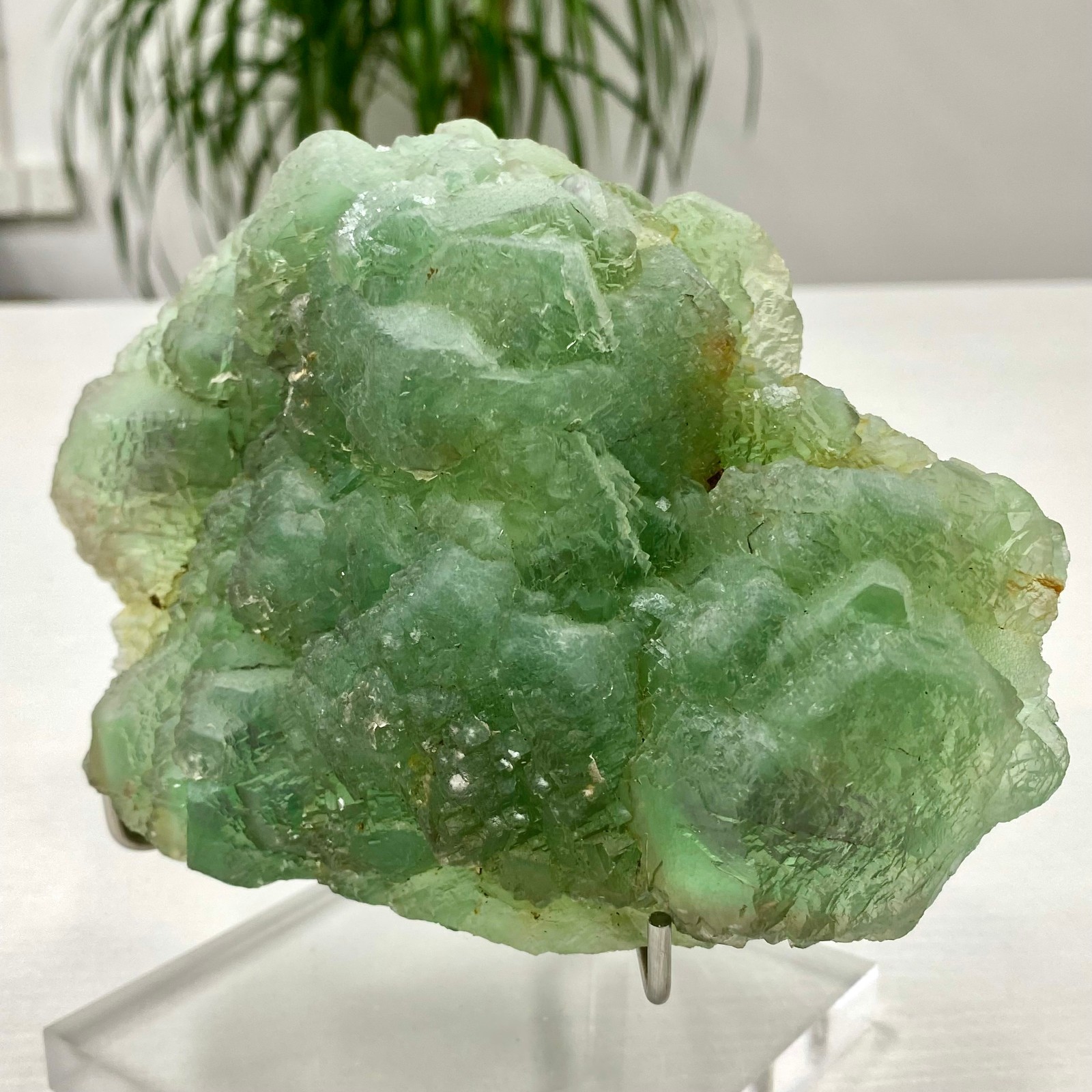 3.64LB Natural transparent green cubic fluorite mineral crystal sample/China