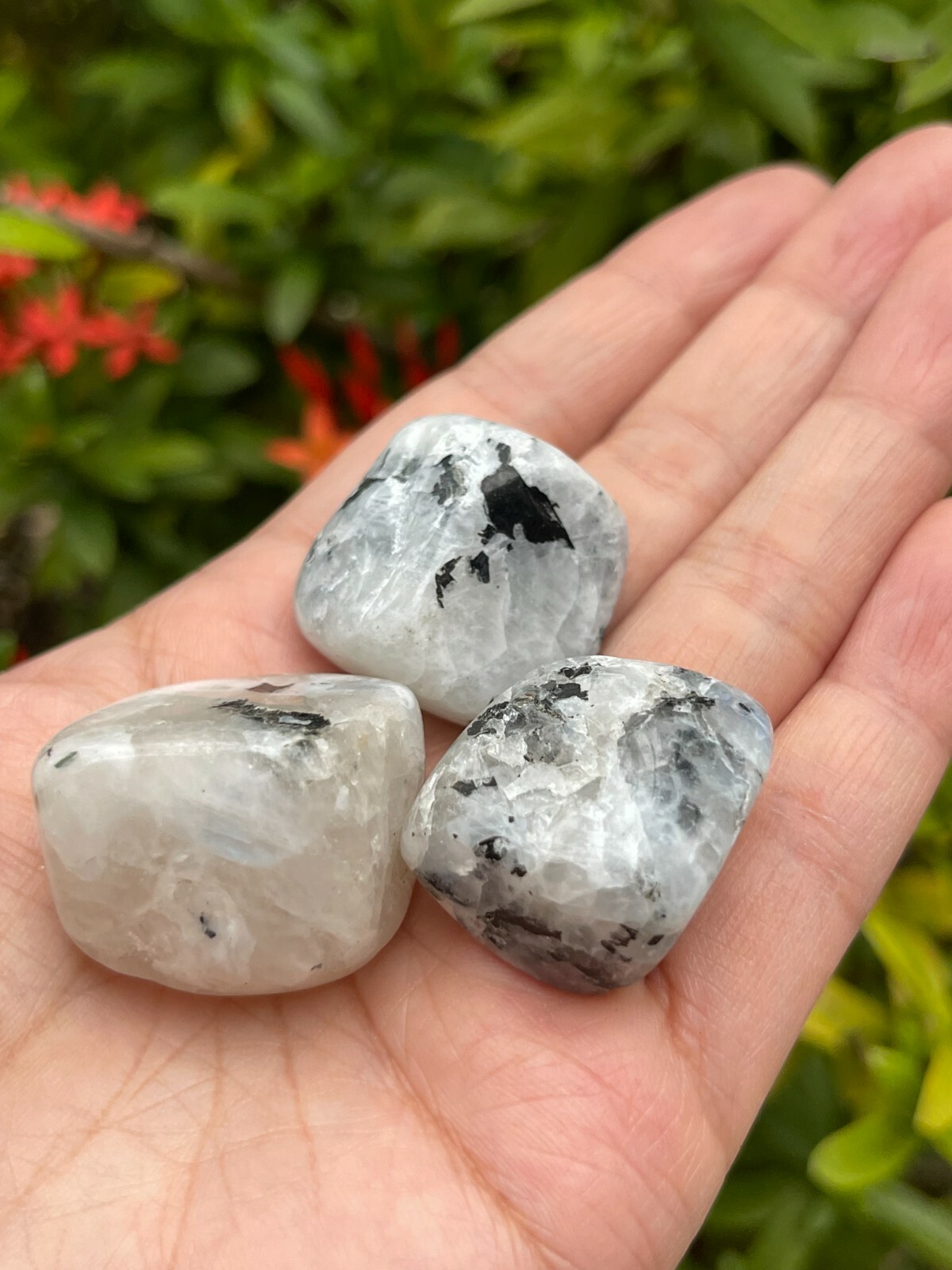 Rainbow Moonstone Tumbled Stone, 0.75-1″ Tumbled Rainbow Moonstone, Bulk Lots