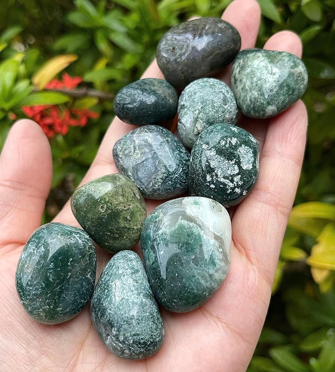 3PCS AAA+ Moss Agate Tumbled Stone | Polished Green Gemstone High Energy Stone
